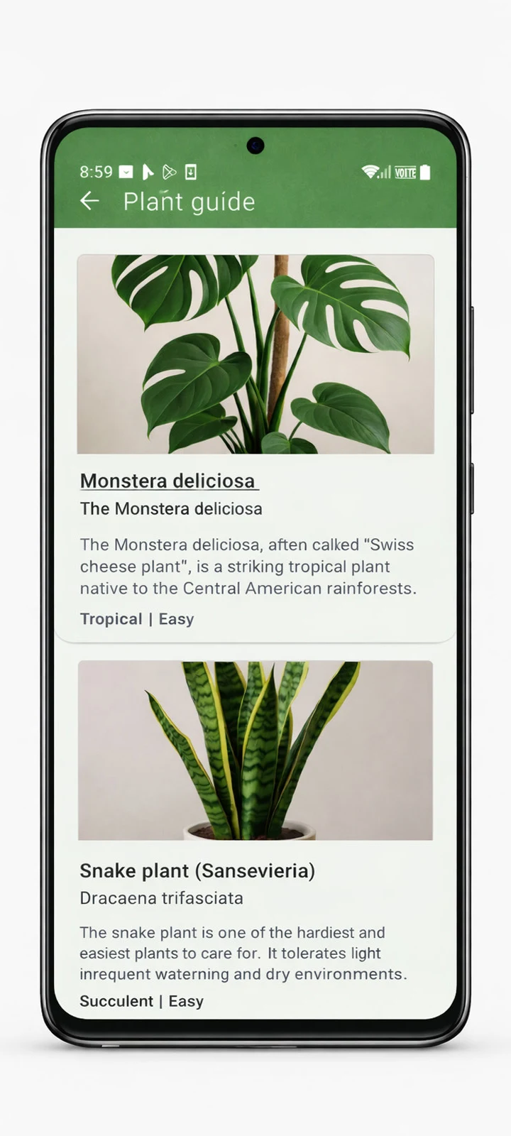Plant Identifier - Plant Care screenshot